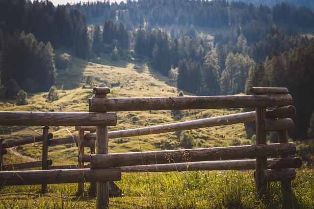 fences