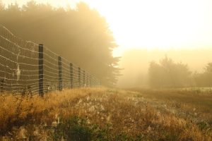 fences-640x480-79424733.jpeg