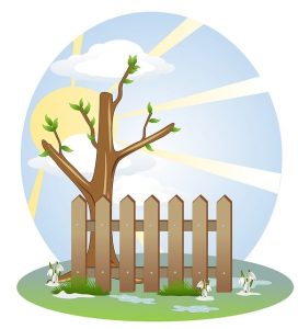 fences-640x480-80192570.jpeg
