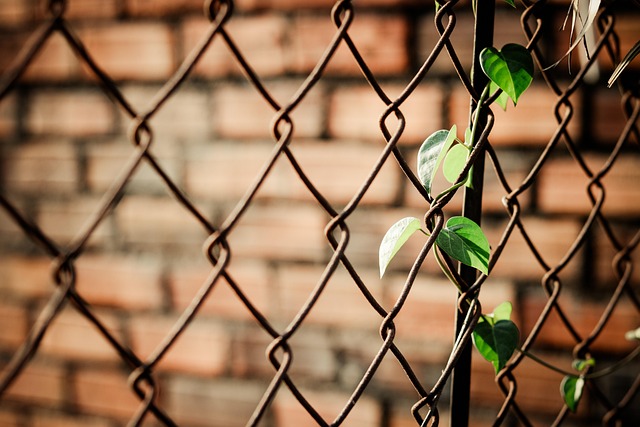 fences