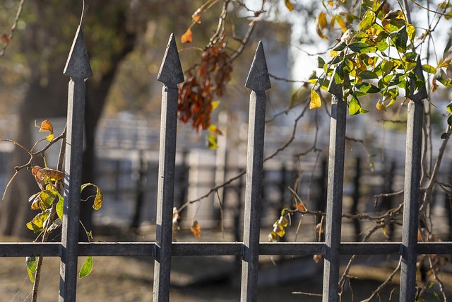 fences
