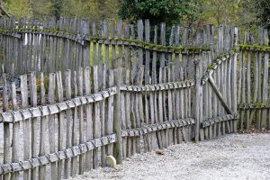 fences-640x480-8477624.jpeg