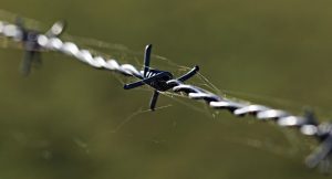 fences-640x480-84941578.jpeg
