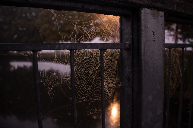 fences