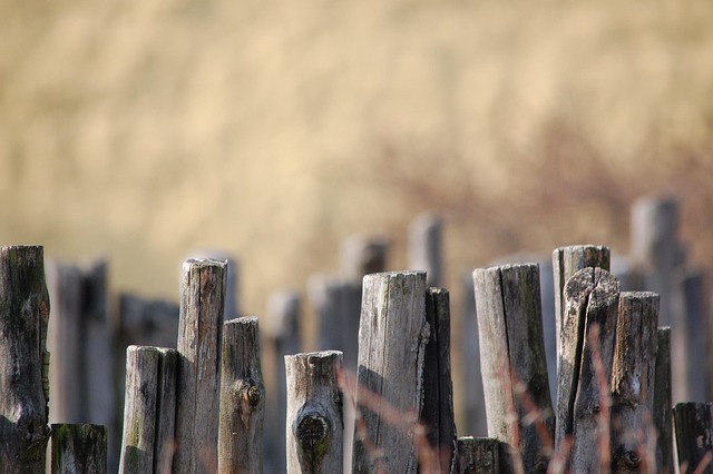 fences