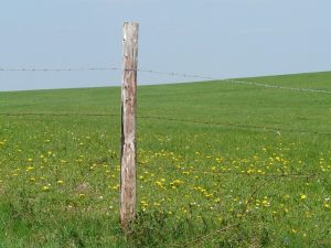 fences-640x480-89909540.jpeg