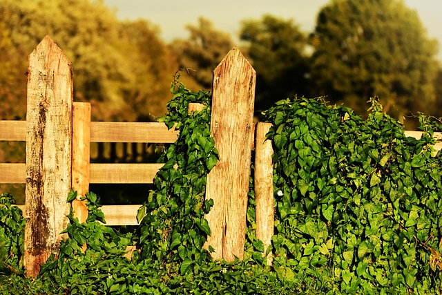 fences