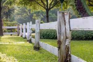 fences-640x480-93533064.jpeg