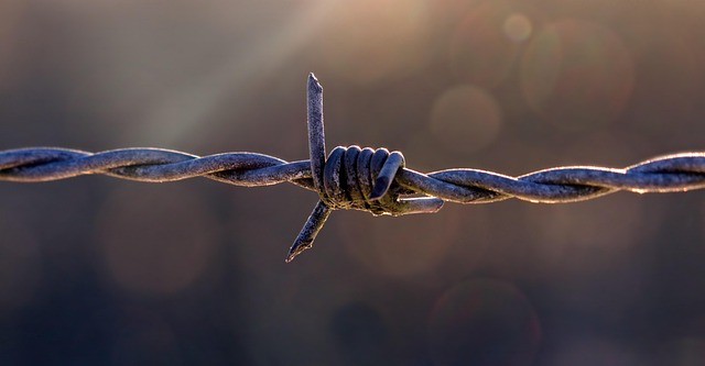 fences