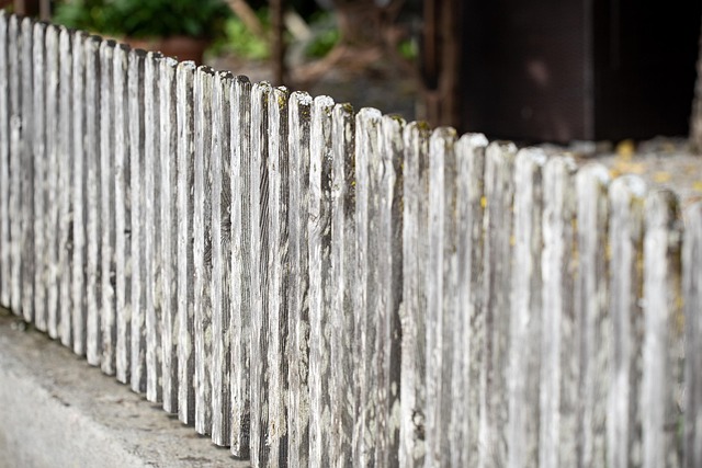 fences
