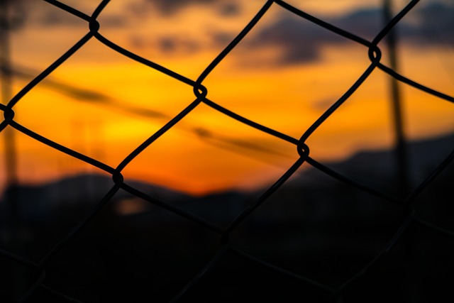 fences