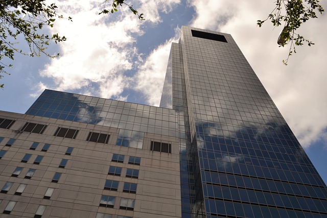 houston-seo-company-640x480-49008698.jpeg
