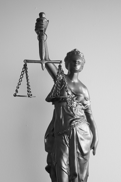law, legal