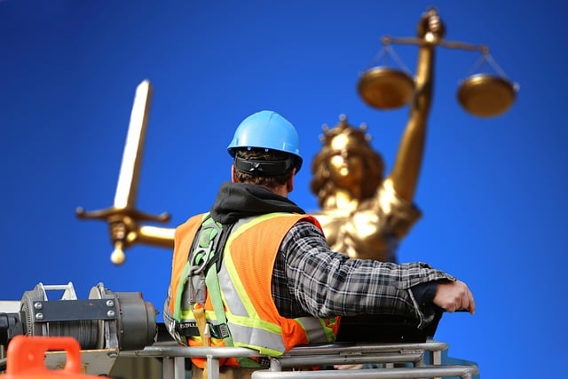 law, legal