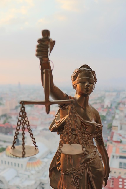 law, legal