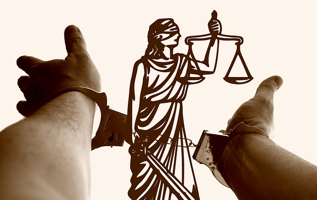 law, legal