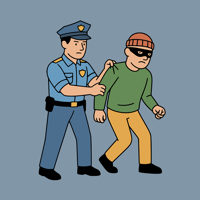 law, legal, car