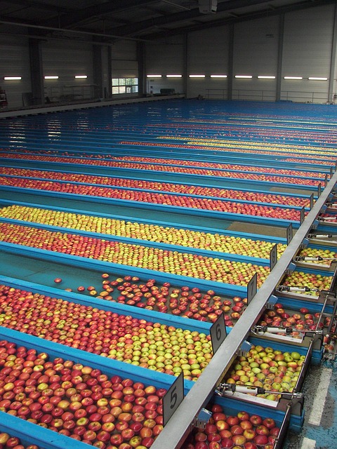 pressure-wash-640x480-93142656.jpeg