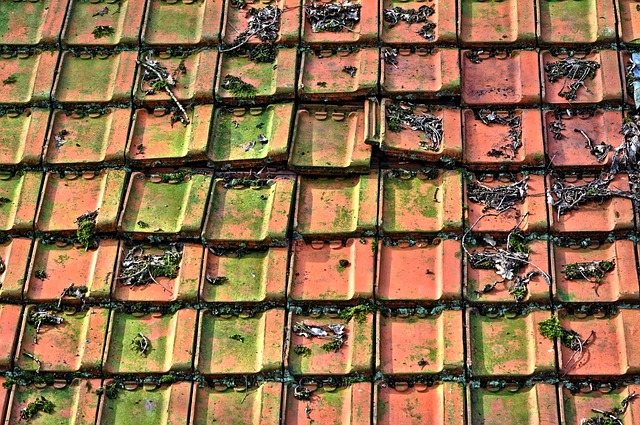roofing