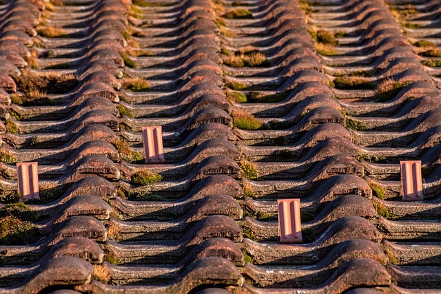roofing, roofer
