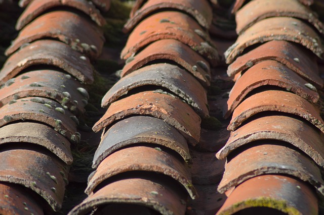 roofing, roofer