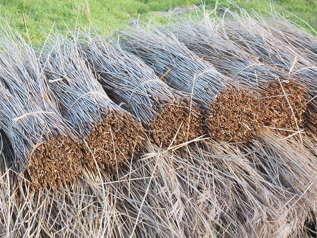 roofing-roofer-640x480-14499644.jpeg