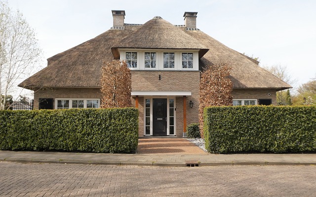 roofing, roofer