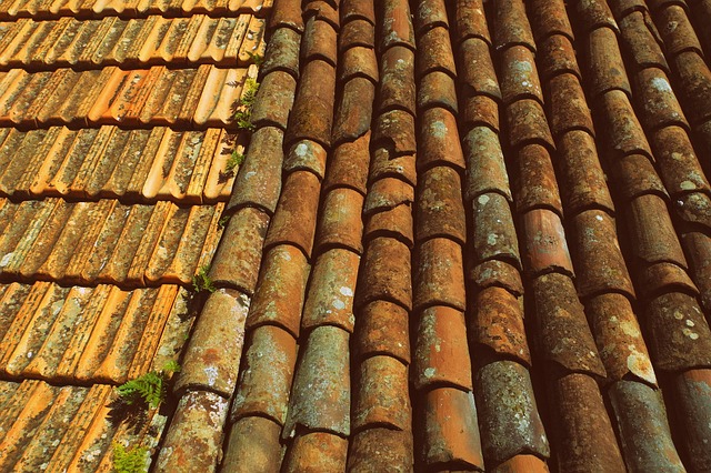 roofing-roofer-640x480-28490509.jpeg