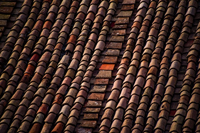 roofing, roofer