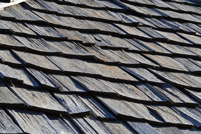 roofing-roofer-640x480-44438043.jpeg