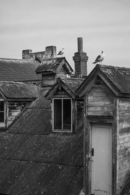 roofing, roofer