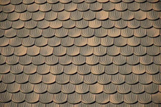 roofing, roofer