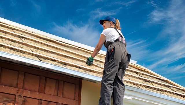roofing, roofer