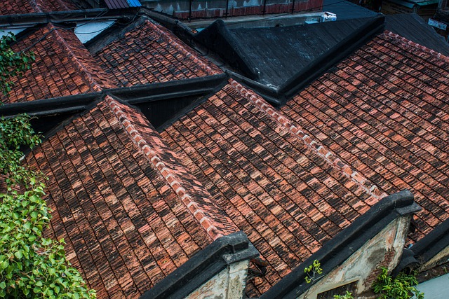 roofing-roofer-640x480-5113022.jpeg