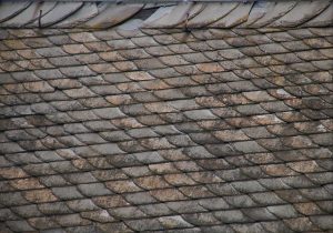 roofing-roofer-640x480-77784479.jpeg