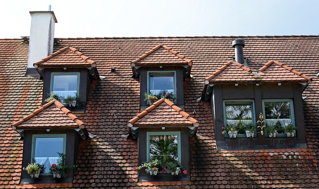 roofing, roofer