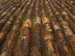 roofing-roofer-640x480-84890956.jpeg