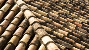 roofing-roofer-640x480-88171386.jpeg