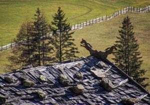 roofing-roofer-640x480-95896966.jpeg