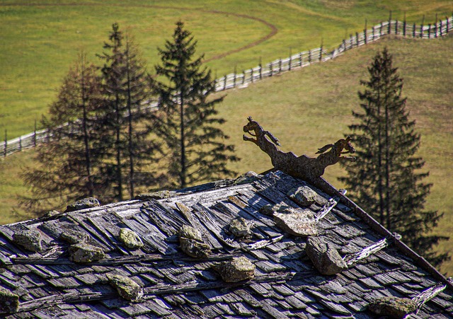 roofing-roofer-640x480-95896966.jpeg