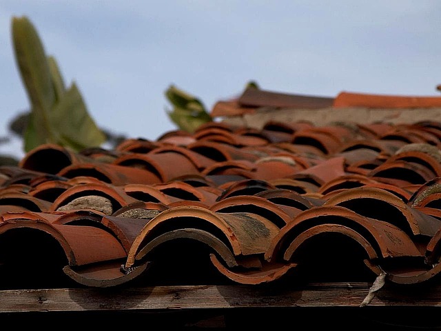 roofing-roofer-640x480-96105152.jpeg