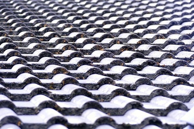 roofing-roofer-640x480-96908911.jpeg