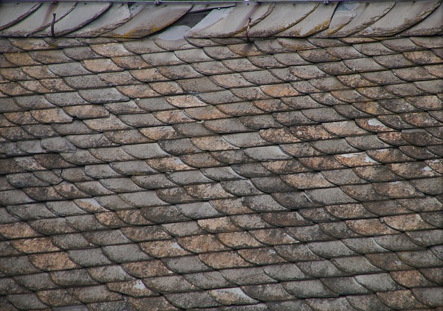 roofing, roofers