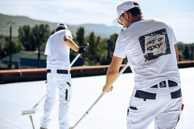 roofing, roofers