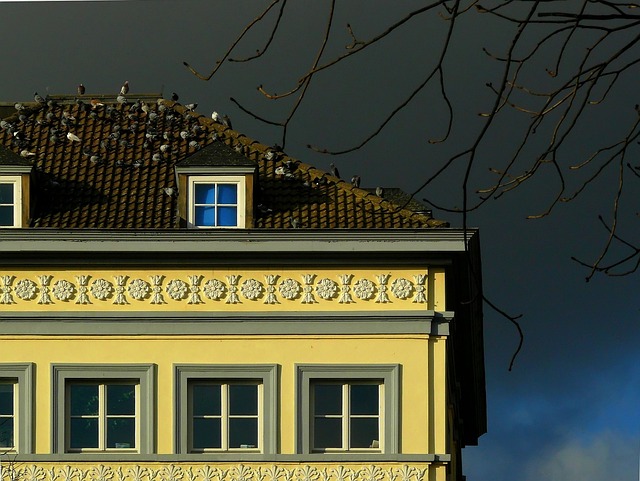 roofing, roofers