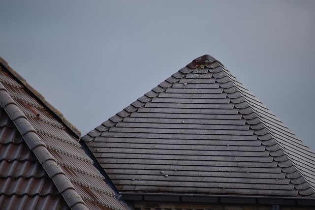 roofing-roofers-640x480-85080120.jpeg