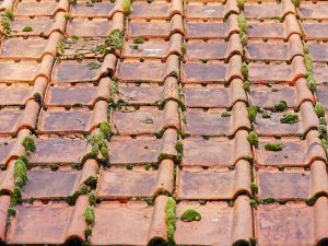 roofing-roofers-640x480-8681909.jpeg