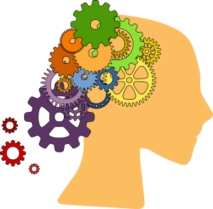seo-local-internet-640x480-47083527.png