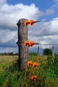 fences-640x480-16191926.jpeg