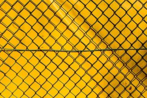 fences-640x480-25243861.jpeg